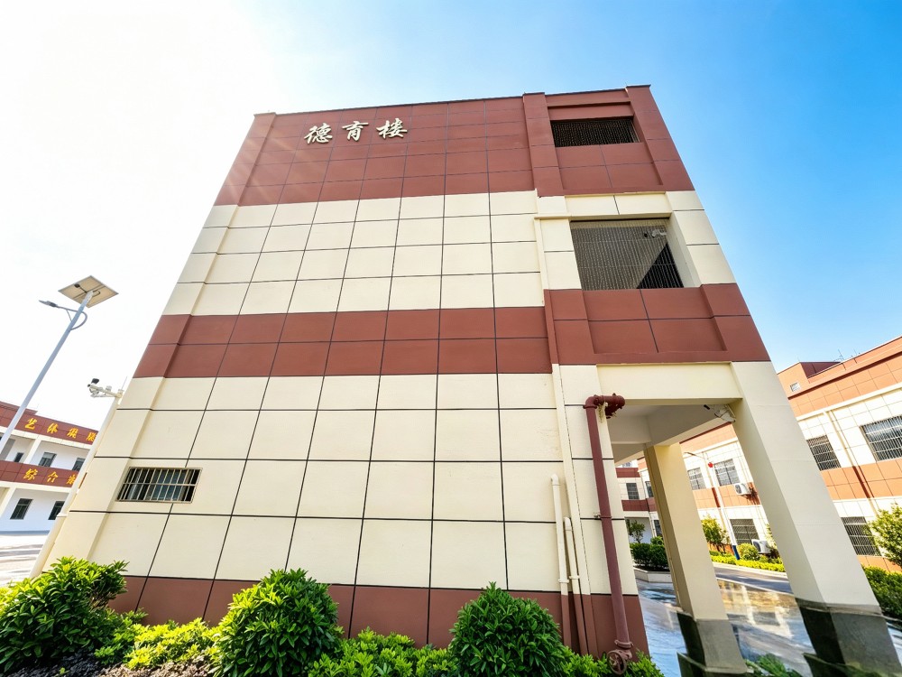 阳江有名的叛逆小孩管教学校哪家专业?深度解析全封闭管教模式与选择要点